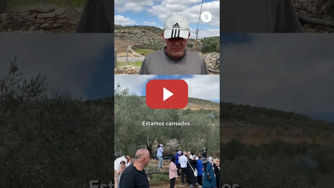 Embedded thumbnail for 🇵🇸Agricultor palestino hostigado por colonos israelíes: “Yo no abandono mi tierra”.