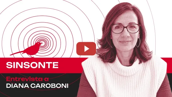 Embedded thumbnail for El Proyecto 2025 en las ultraderechas latinoamericanas | Diana Cariboni lo explica en Sinsonte