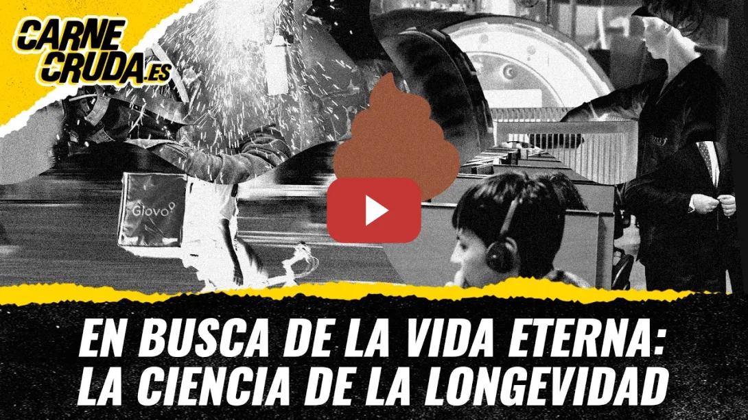 Embedded thumbnail for T12X122 - Trabajos de mierda: cultura de la precariedad (CARNE CRUDA)