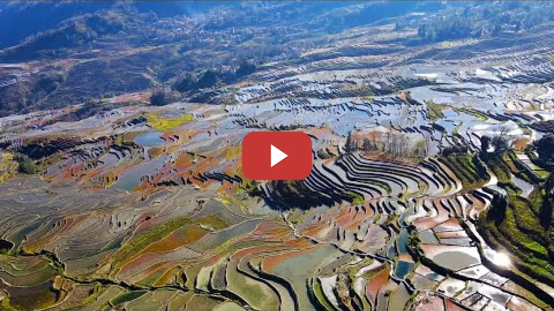 Embedded thumbnail for Avanzar hacia el desarrollo sostenible: La sabiduría ecológica de las terrazas milenarias