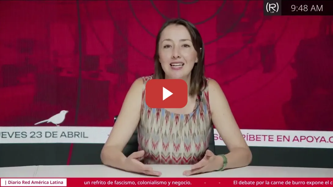 Embedded thumbnail for La trampa de la diversidad  Cuando la inclusión ayuda al capital   Ana Emilia Felker, Ojo Pirata