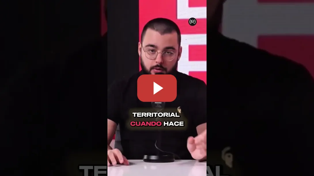 Embedded thumbnail for ¿Qué es la Guardia Revolucionaria Iraní?