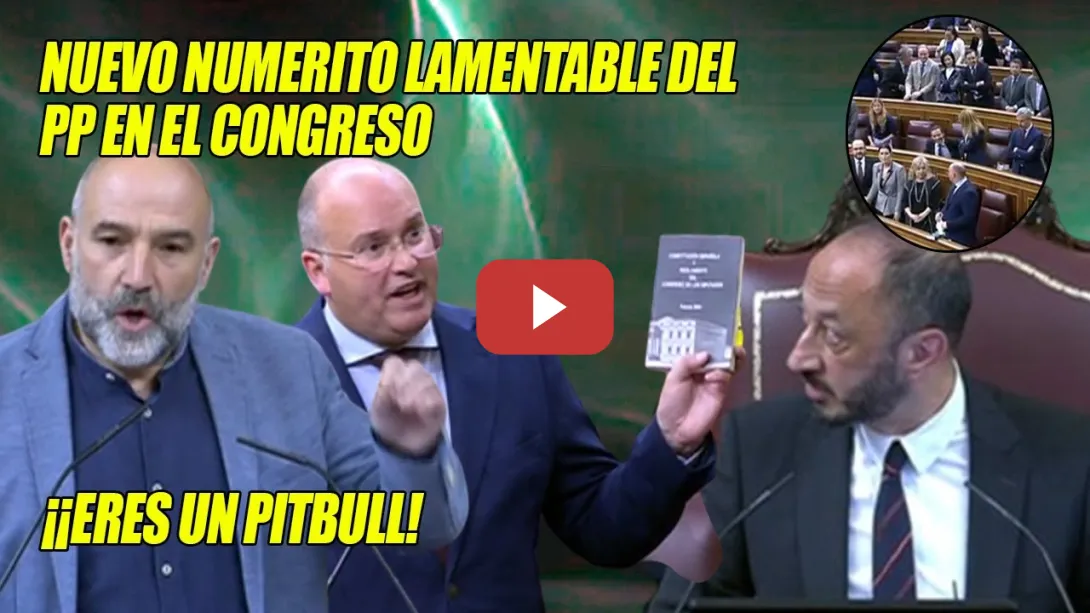 Embedded thumbnail for ¡ERES el PITBULL de Feijóo!💢NUMERITO del PP se va AL TRASTE tras la LECCIÓN de Néstor Rego y CELIS