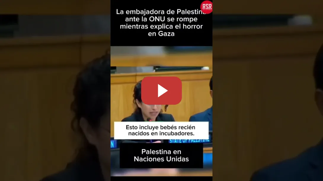 Embedded thumbnail for La embajadora de Palestina en la ONU