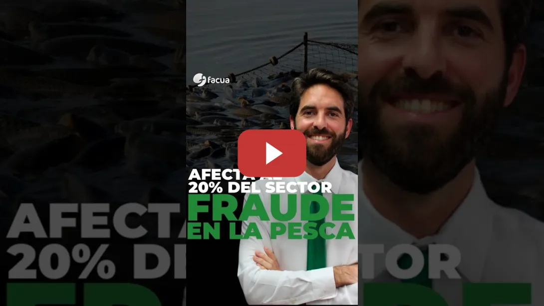 Embedded thumbnail for EL FRAUDE EN LA PESCA AFECTA AL 20% DEL SECTOR
