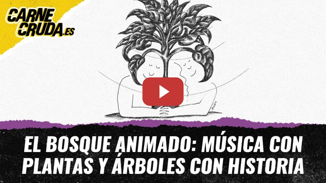 Embedded thumbnail for T11x107 - T11x107 - El bosque animado: música con plantas y árboles con historia