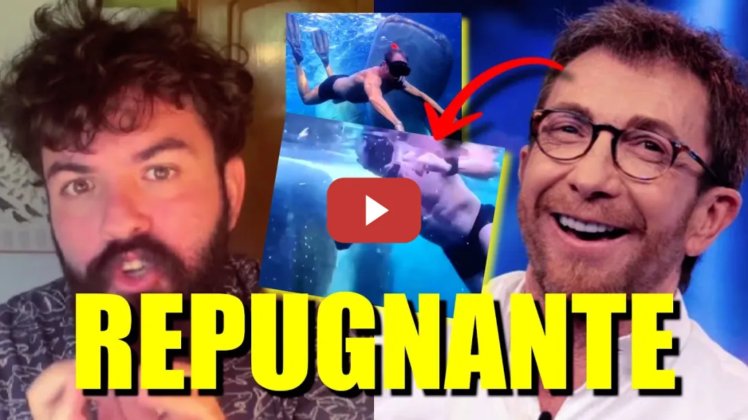Embedded thumbnail for Pillan a Pablo Motos bañándose con ballenas y un experto en animales lo pone en su sitio