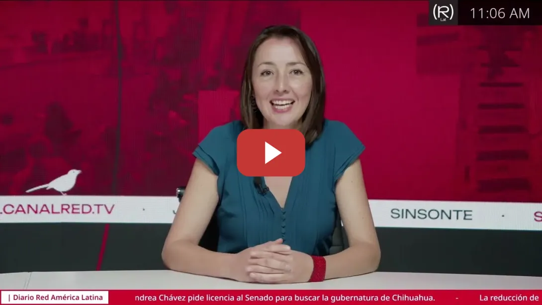 Embedded thumbnail for Samanta Schweblin: Capitalismo y medio ambiente en Argentina | El Ojo Pirata - Ana Emilia Felker