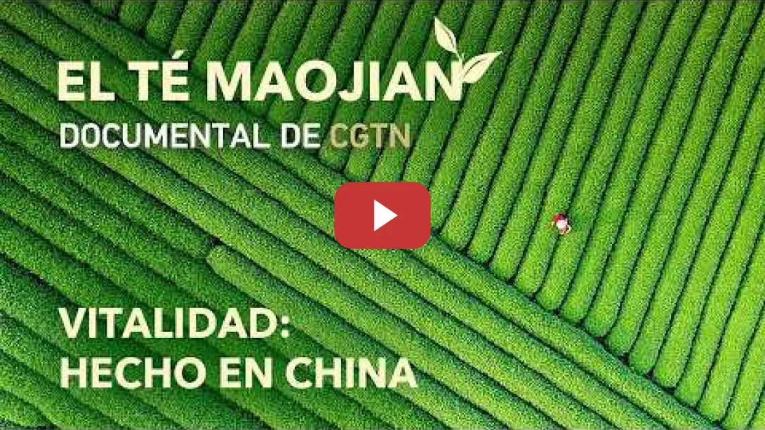 Embedded thumbnail for Vitalidad: hecho en China | El té Maojian | CGTN