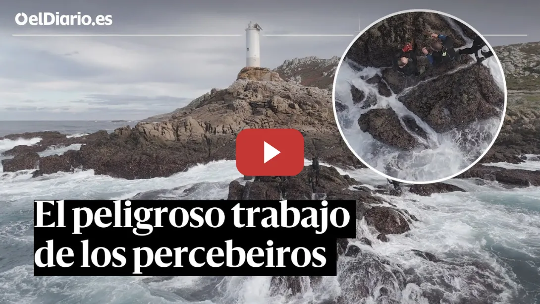 Embedded thumbnail for Así es el peligroso trabajo de los PERCEBEIROS para conseguir el marisco más deseado de la NAVIDAD