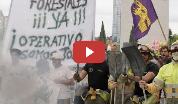 Embedded thumbnail for Protestas frente a las Cortes de Castilla y León por la gestión de Mañueco en los incendios