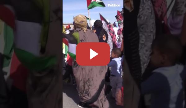 Embedded thumbnail for Miles de saharauis rechazan el plan de EE.UU.: “Mejor refugiados que marroquíes”