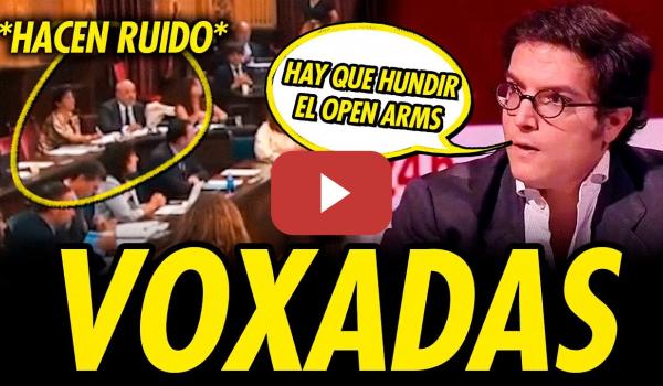 Embedded thumbnail for VOX HACE EL RIDÍCULO: BOICOT AL MINUTO DE SILENCIO POR GAZA, OPEN ARMS Y ¿DONACIONES ILEGALES?