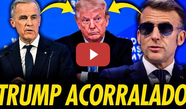Embedded thumbnail for ATAQUES DIRECTOS A TRUMP EN DAVOS 2026