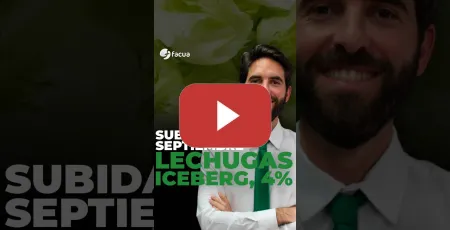 Embedded thumbnail for SUBIDAS EN SEPTIEMBRE: LECHUGAS ICEBERG, 4% MÁS