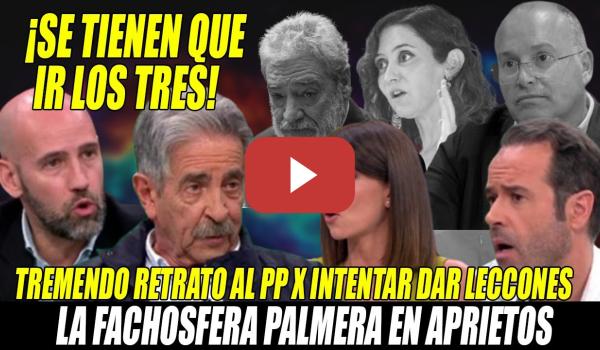 Embedded thumbnail for ¡ZAS! VUELVE a por OTRA🔥RIDÍCULO TOTAL de los PALMEROS de la DERECHA ante Gonzalo Miró y Maestre