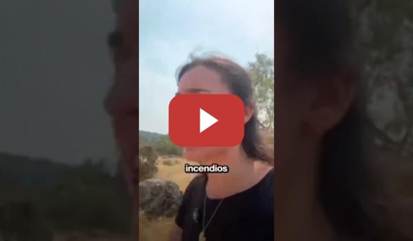 Embedded thumbnail for Irene Montero sobre los incendios que asolan España
