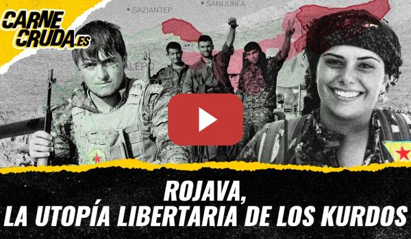 Embedded thumbnail for T12x91 - Rojava, la utopía libertaria de los kurdos (CARNE CRUDA)