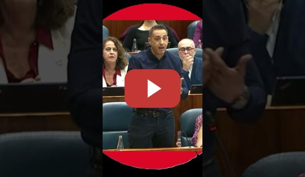 Embedded thumbnail for Emilio Delgado se calienta con el PP &quot;Son unos sinvergüenzas y tú Serrano cállate&quot; 🥚🥚🤣🍿