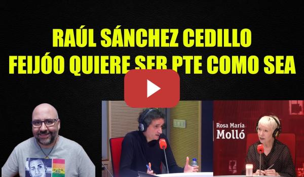 Embedded thumbnail for Raúl sánchez Cedillo, Feijóo quiere ser Presidente como sea.