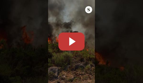 Embedded thumbnail for La batalla contra el fuego no cesa en la zona cero del incendio de O Ribeiro, en Caraballeda de Avia