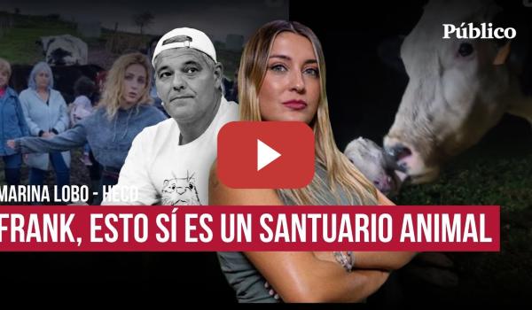 Embedded thumbnail for Lección a Frank Cuesta: así es un santuario animal de verdad, con La Manada Cántabra