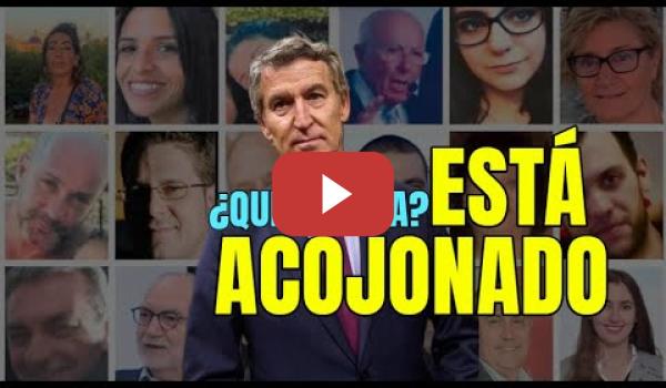 Embedded thumbnail for Feijóo declara por videoconferencia, la jueza le pide todos los mensajes completos