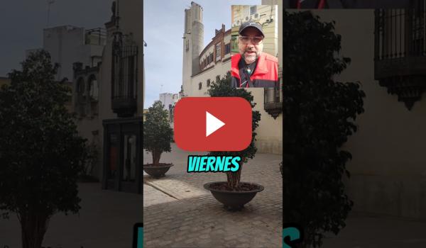 Embedded thumbnail for AVANCE DIRECTO 20 MARZO 2026. GUERRA CIVIL EN VOX.