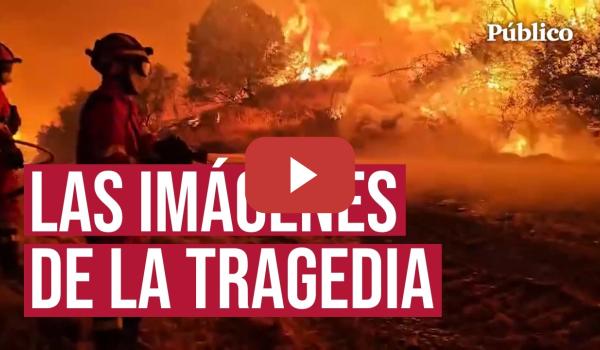 Embedded thumbnail for INCENDIO ZARAGOZA | Las llamas arrasan Orés y afectan a más de 12.600 hectáreas