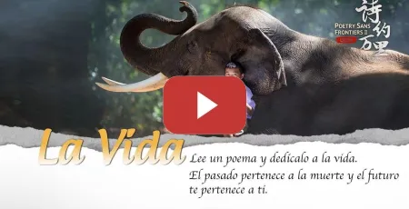 Embedded thumbnail for Episodio II de Poesía sin Fronteras II: La Vida