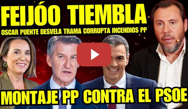 Embedded thumbnail for ÓSCAR PUENTE DESTROZA A FEIJÓO POR REVELAR TRAMA CORRUPTA DEL PP “CONGRESO ESTALLA EN APLAUSOS”