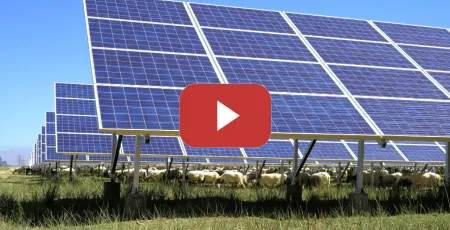Embedded thumbnail for Avanzar hacia el desarrollo sostenible: Energía solar fotovoltaica y ovejas