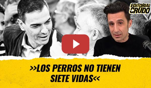 Embedded thumbnail for Los perros no tienen siete vidas #EditorialCrudo