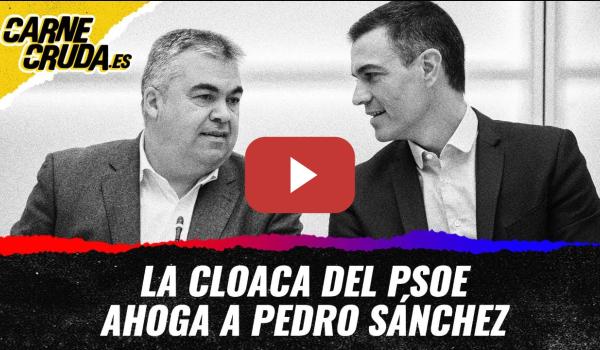 Embedded thumbnail for T11x143 - La cloaca del PSOE ahoga a Pedro Sánchez (CARNE CRUDA)