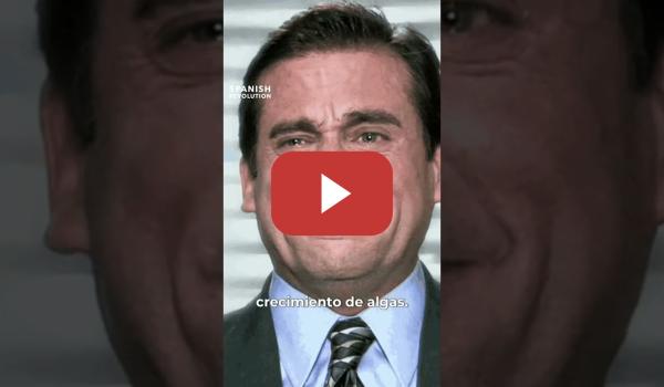 Embedded thumbnail for Presidente meme