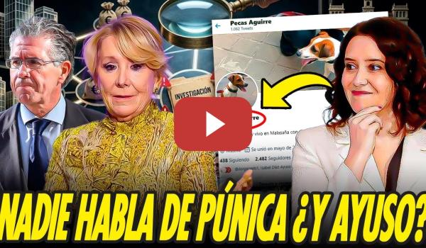 Embedded thumbnail for NADIE ESTÁ HABLANDO DEL JUICIO DE LA PÚNICA, 41 IMPUTADOS, 600 AÑOS DE CÁRCEL Y AYUSO DE ROSITAS