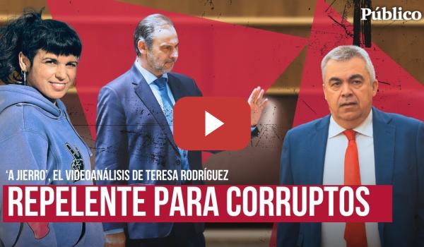 Embedded thumbnail for Teresa Rodríguez: Manual de instrucciones para sacar a los sinvergüenzas de la política