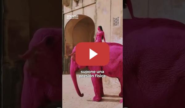 Embedded thumbnail for No es arte