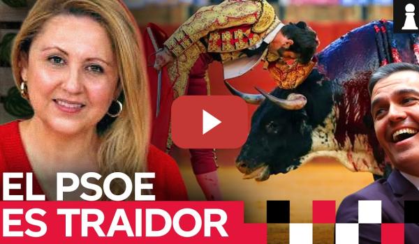 Embedded thumbnail for &#039;No es mi cultura&#039; denuncia la abstención del PSOE contra la tauromaquia en la ILP
