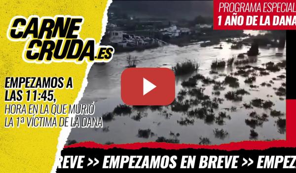 Embedded thumbnail for ESPECIAL DANA A LAS 11.45 - Cronología del año de la infamia (CARNE CRUDA)