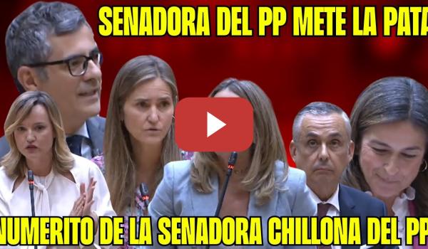 Embedded thumbnail for BOCHORNO en el SENADO. RIDÍCULO Senadora del PP: BOLAÑOS se MOFA! ASEDIO al GOBIERNO por el APAGÓN!