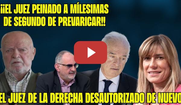 Embedded thumbnail for VARAPALO al JUEZ PEINADO. MARTÍN PALLÍN DEMOLEDOR sobre el RESCATE AIR EUROPA y el HERMANO SÁNCHEZ