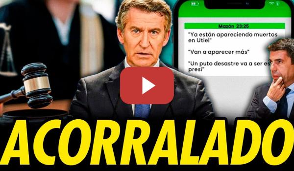 Embedded thumbnail for LA JUEZA DE LA DANA EXIGE LOS MENSAJES DE FEIJÓO Y SE CAE EL RELATO DEL PP