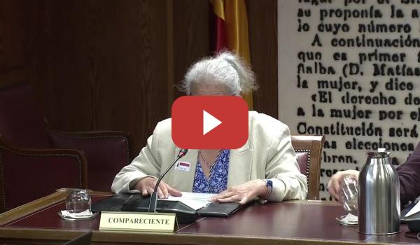 Embedded thumbnail for Carmen Pano en la comisión de investigación del Senado sobre el caso Koldo