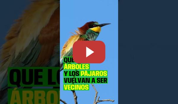 Embedded thumbnail for Nos levantamos por la naturaleza