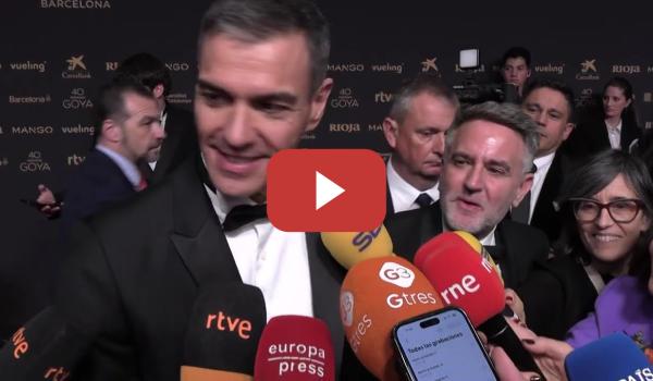 Embedded thumbnail for Pedro Sánchez reacciona a las palabras de Susan Sarandon: "Se está reconociendo a España"