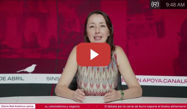 Embedded thumbnail for LA TRAMPA DE LA DIVERSIDAD CUANDO LA INCLUSIÓN BENEFICIA AL CAPITAL |El Ojo Pirata,Ana Emilia Felker