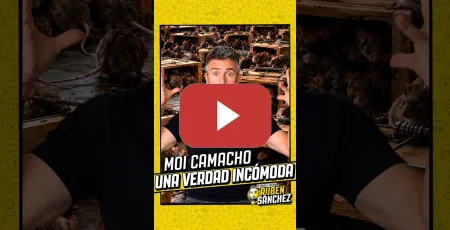 Embedded thumbnail for Fachapobre por elección, no por accidente #fachapobre #debate