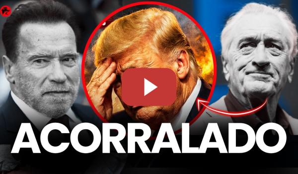 Embedded thumbnail for TRUMP ACORRALADO: De Niro y Schwarzenegger reaccionan… y pasa esto