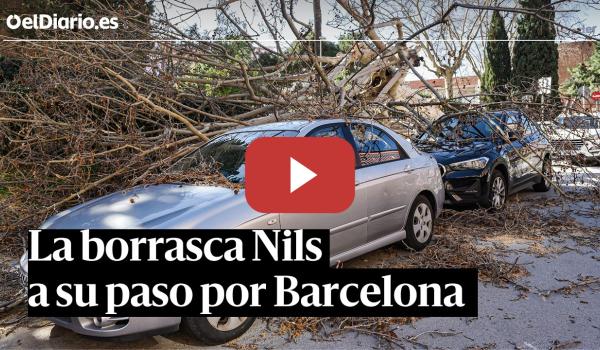 Embedded thumbnail for El fuerte viento de la borrasca Nils deja múltiples desperfectos a su paso por Catalunya